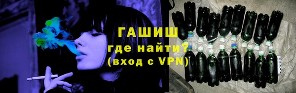 прущие грибы Алзамай