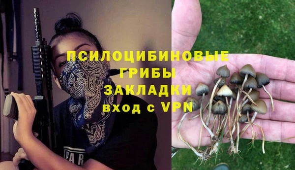 прущие грибы Алзамай