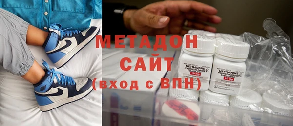 прущие грибы Алзамай