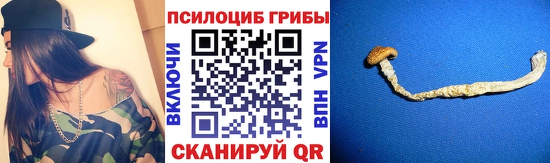 Псилоцибиновые грибы ЛСД  нарко площадка состав  Черногорск 