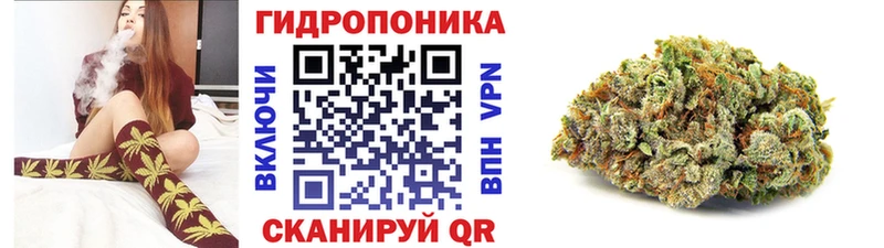 Каннабис OG Kush  дарнет шоп  Черногорск 